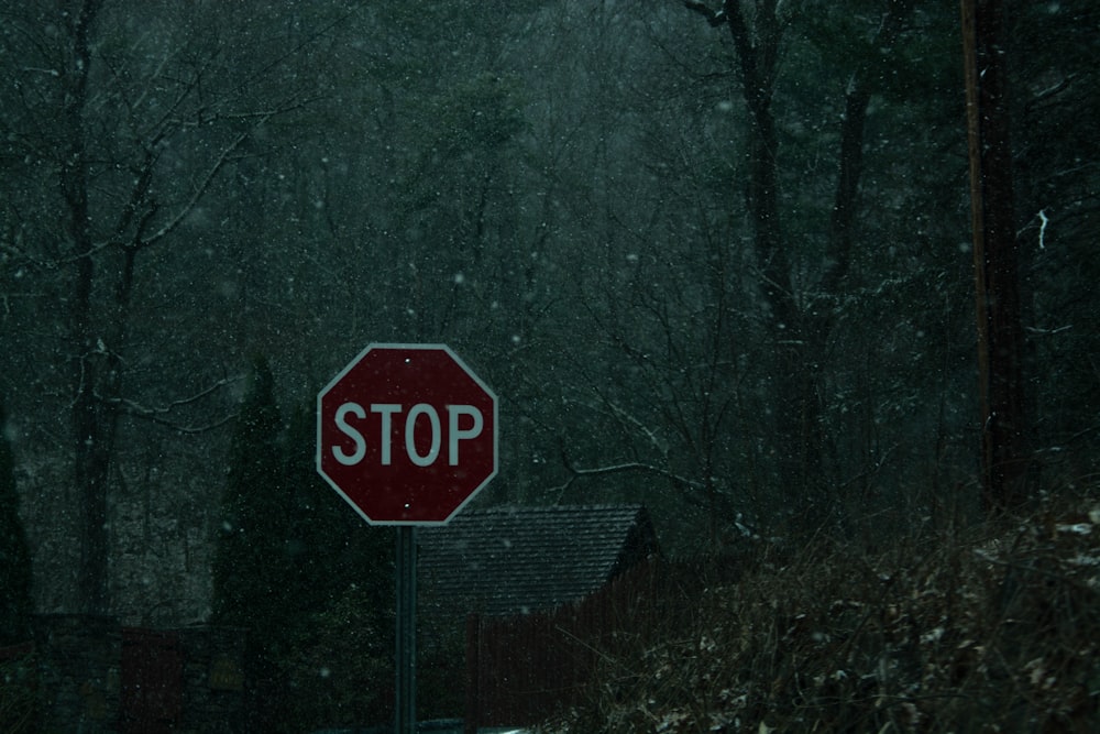 stop sign on gray tree