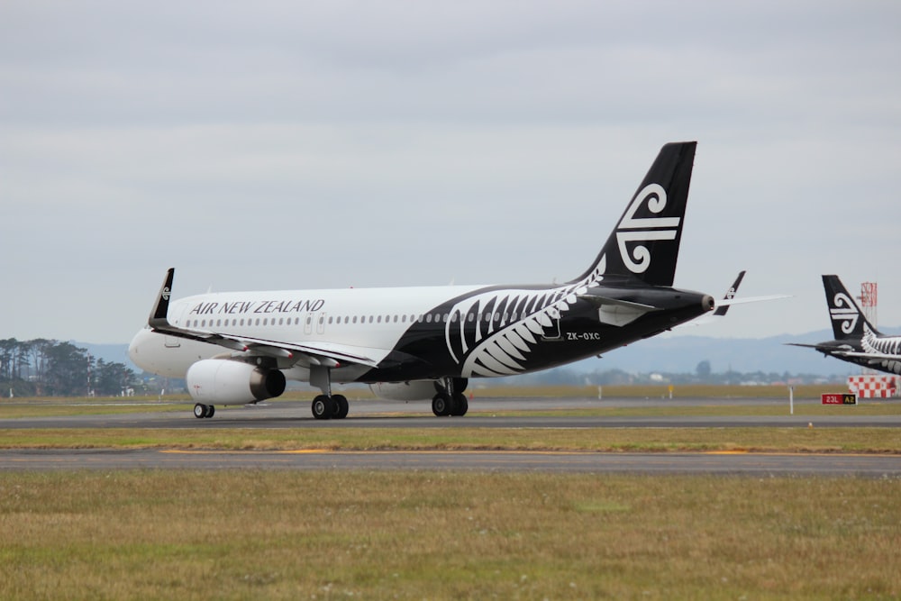 white and black airplane on brown field during daytime