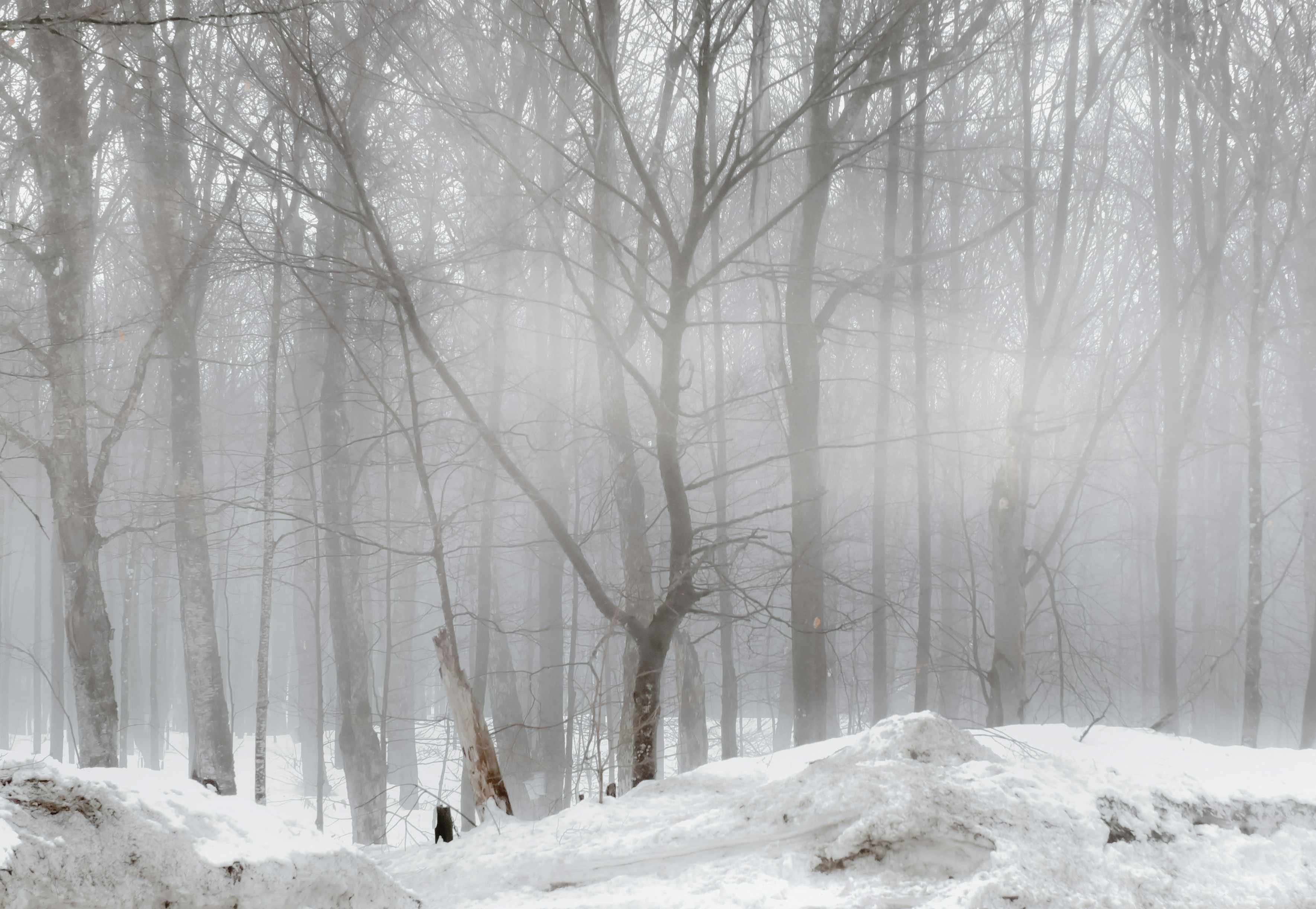 Photo by bananebleue