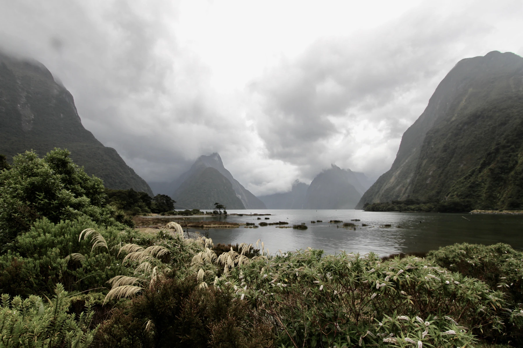New Zealand 2