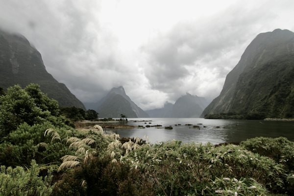 Green grass near lake and mountain under white clouds during daytime — Fiordland & Milford Sound, New Zealand