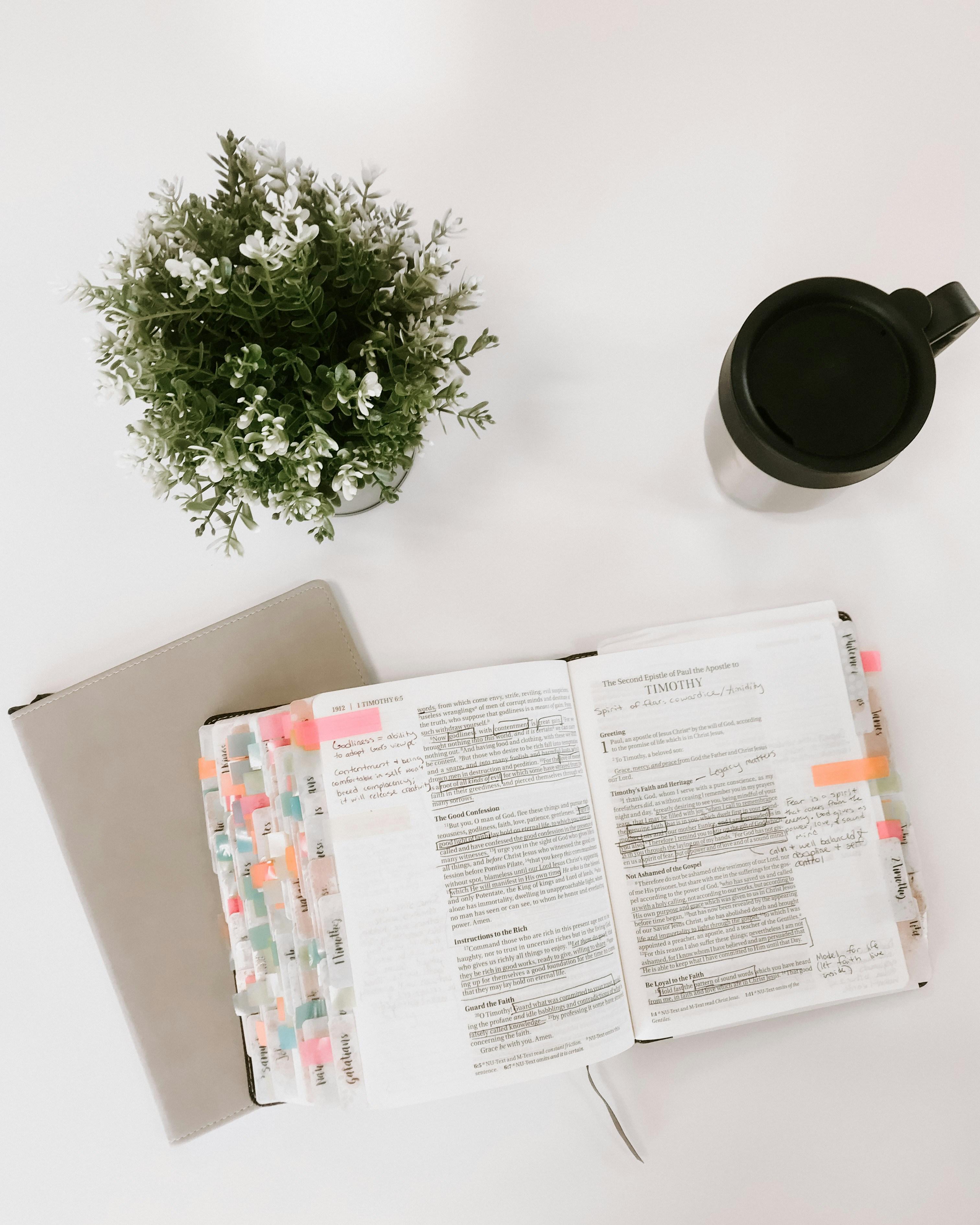 Photo by rachelcoyne