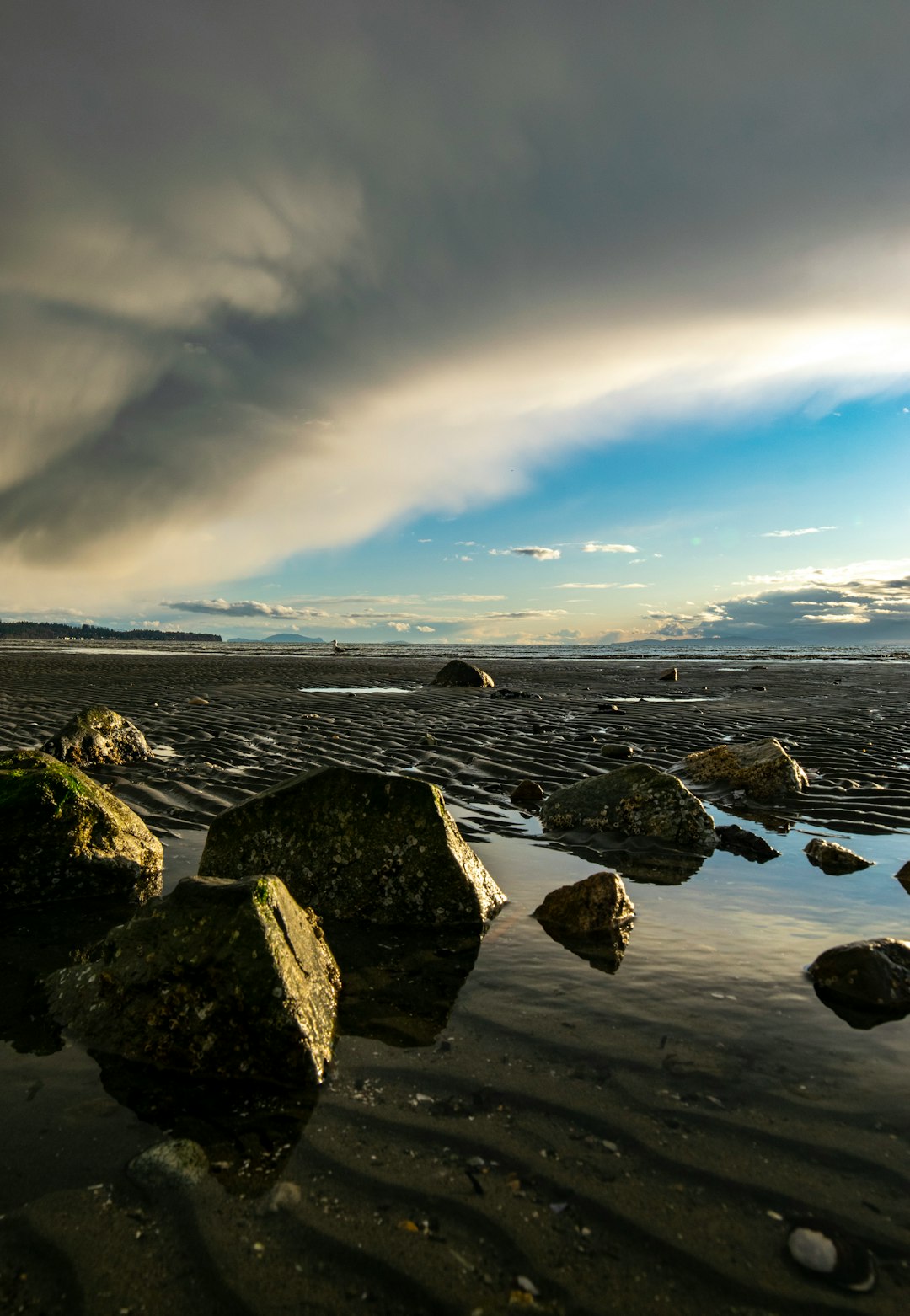 Shore photo spot Surrey Spanish Banks Beach West