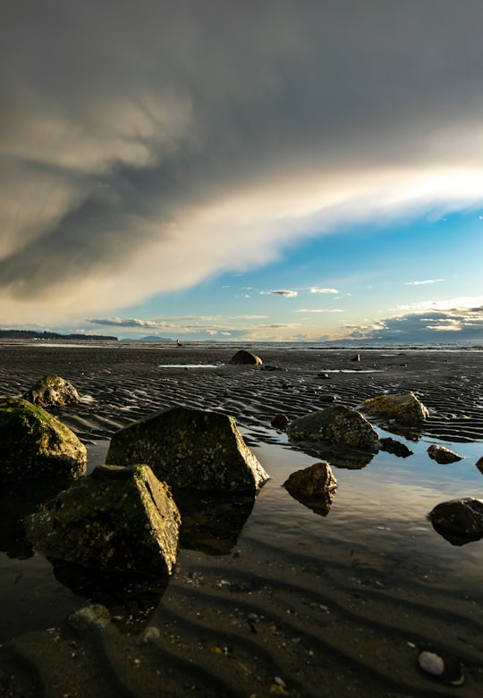 rocky shore under blue sky during daytime in Surrey Canada