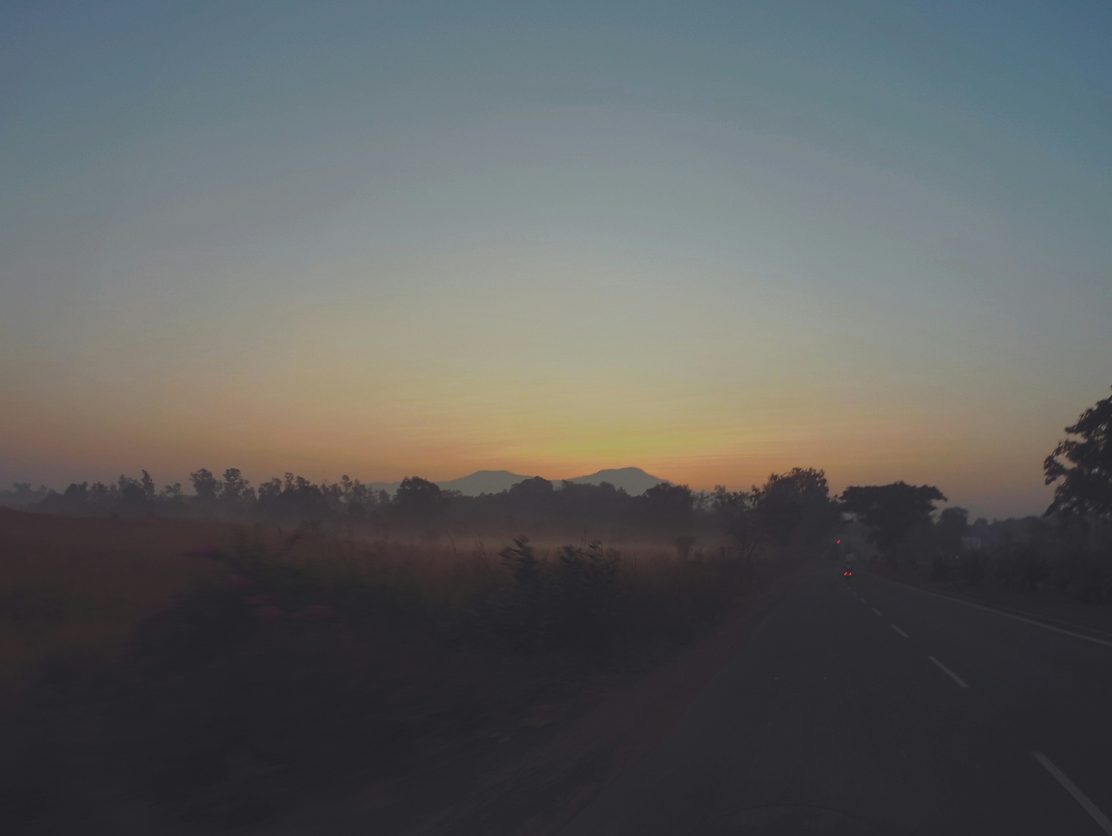 Photo by martin_dav1d