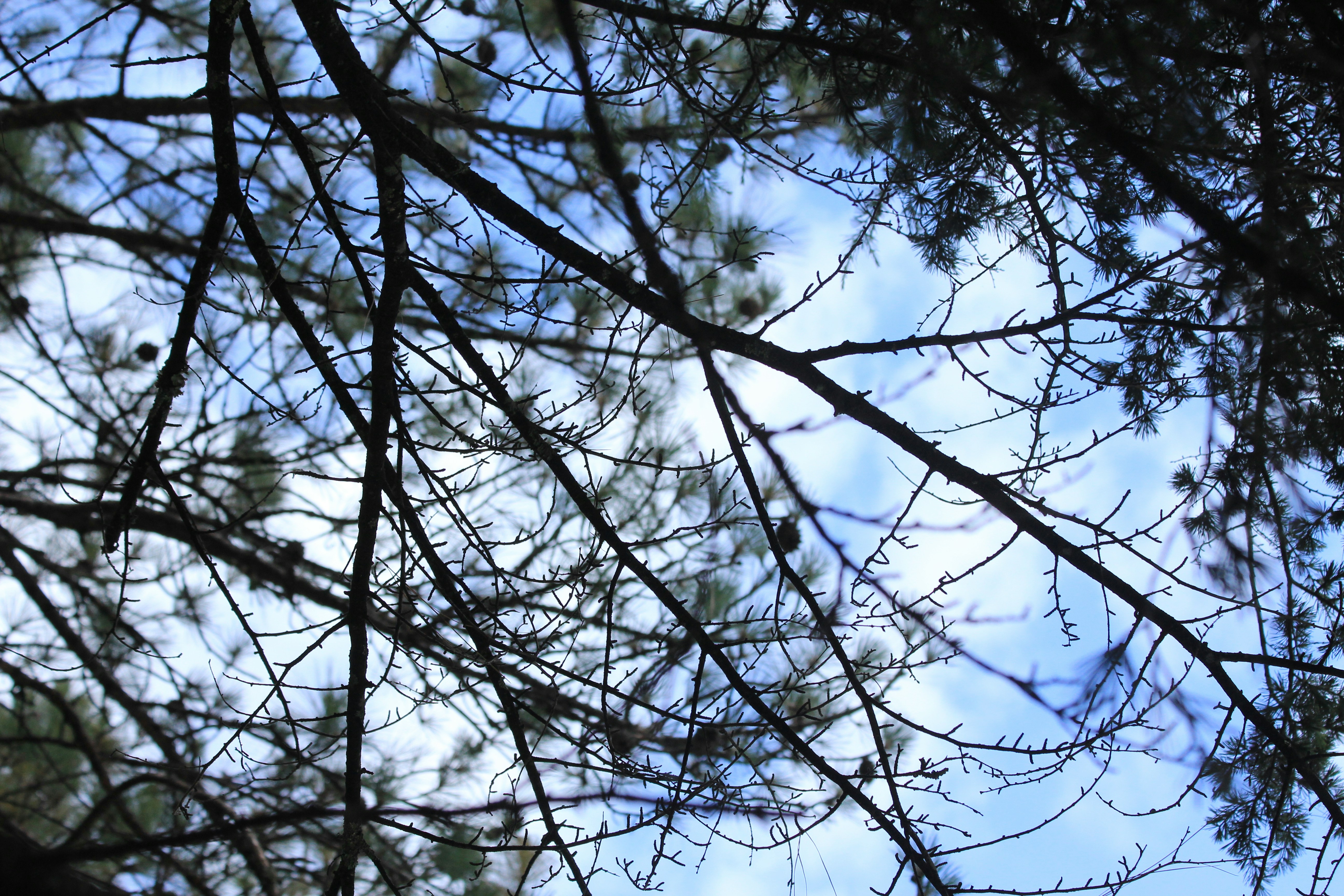 Photo by martin_dav1d