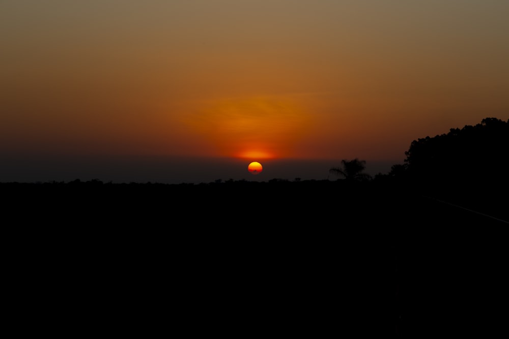 silhouette di alberi durante il tramonto