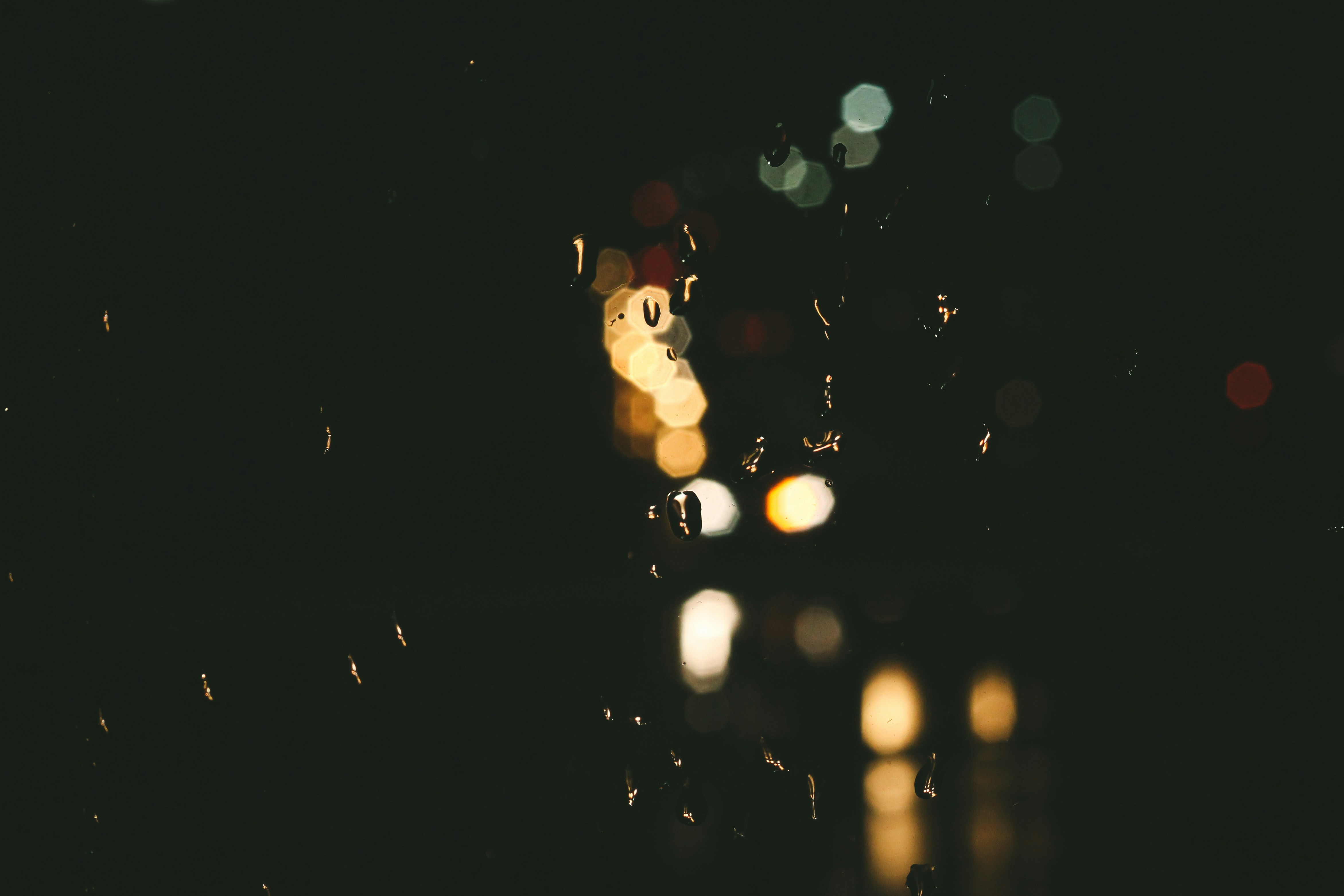 Photo by igorrodrigues