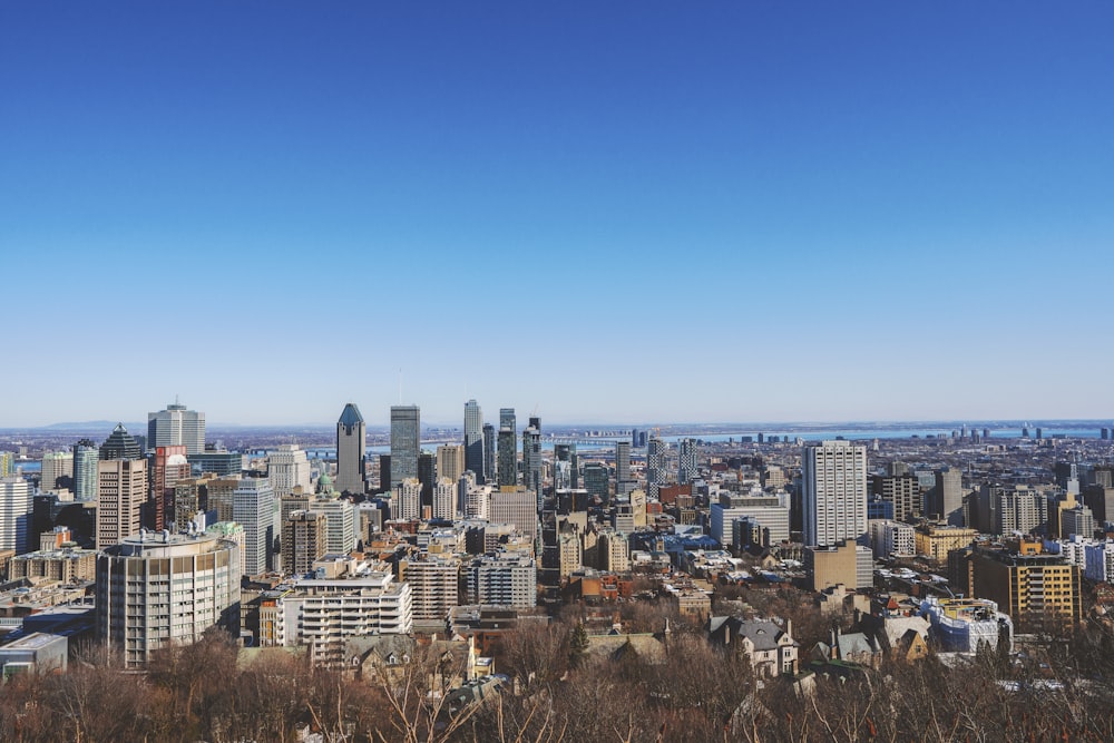 city skyline under blue sky during daytime