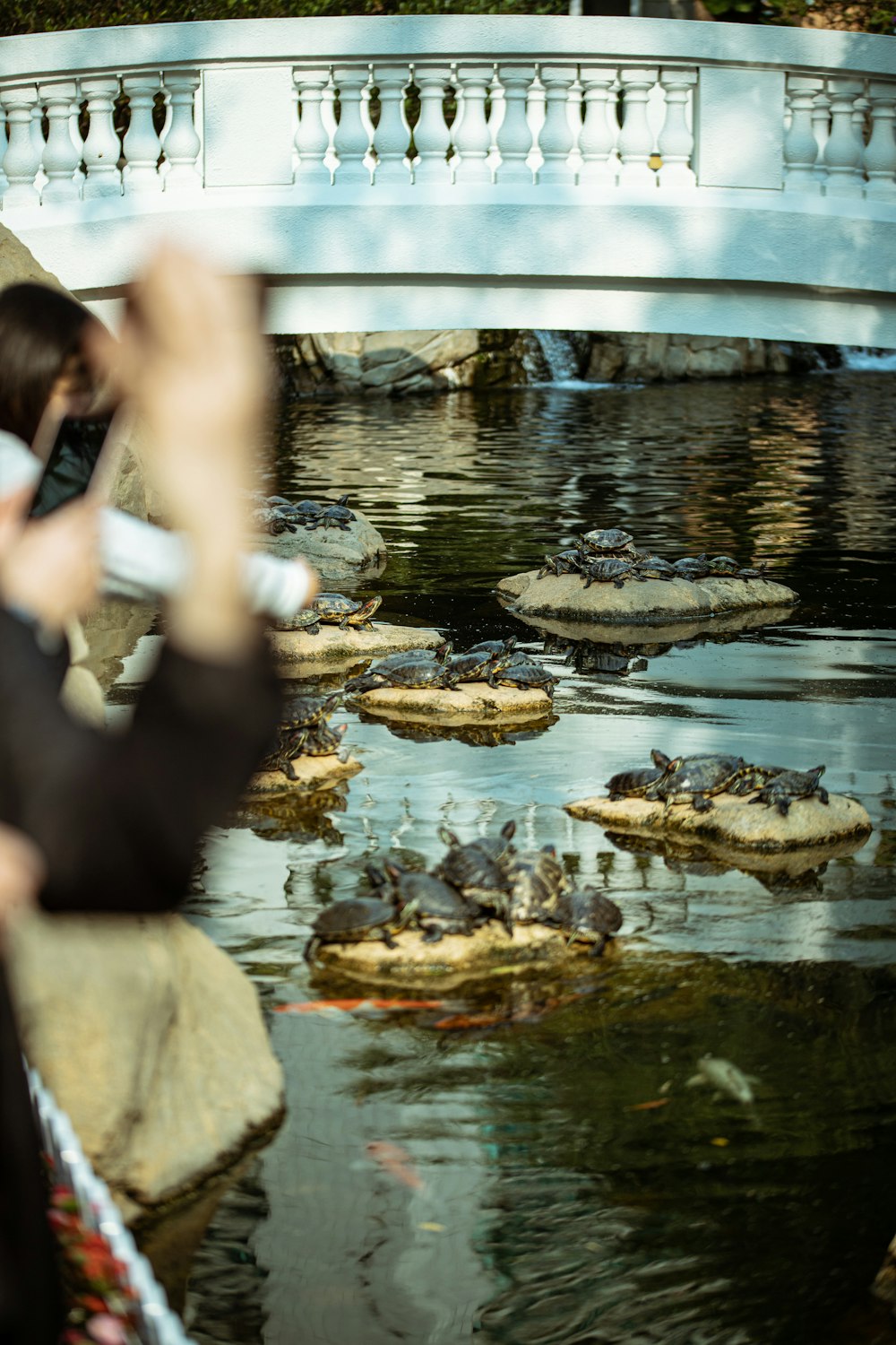 people standing on water fountain during daytime