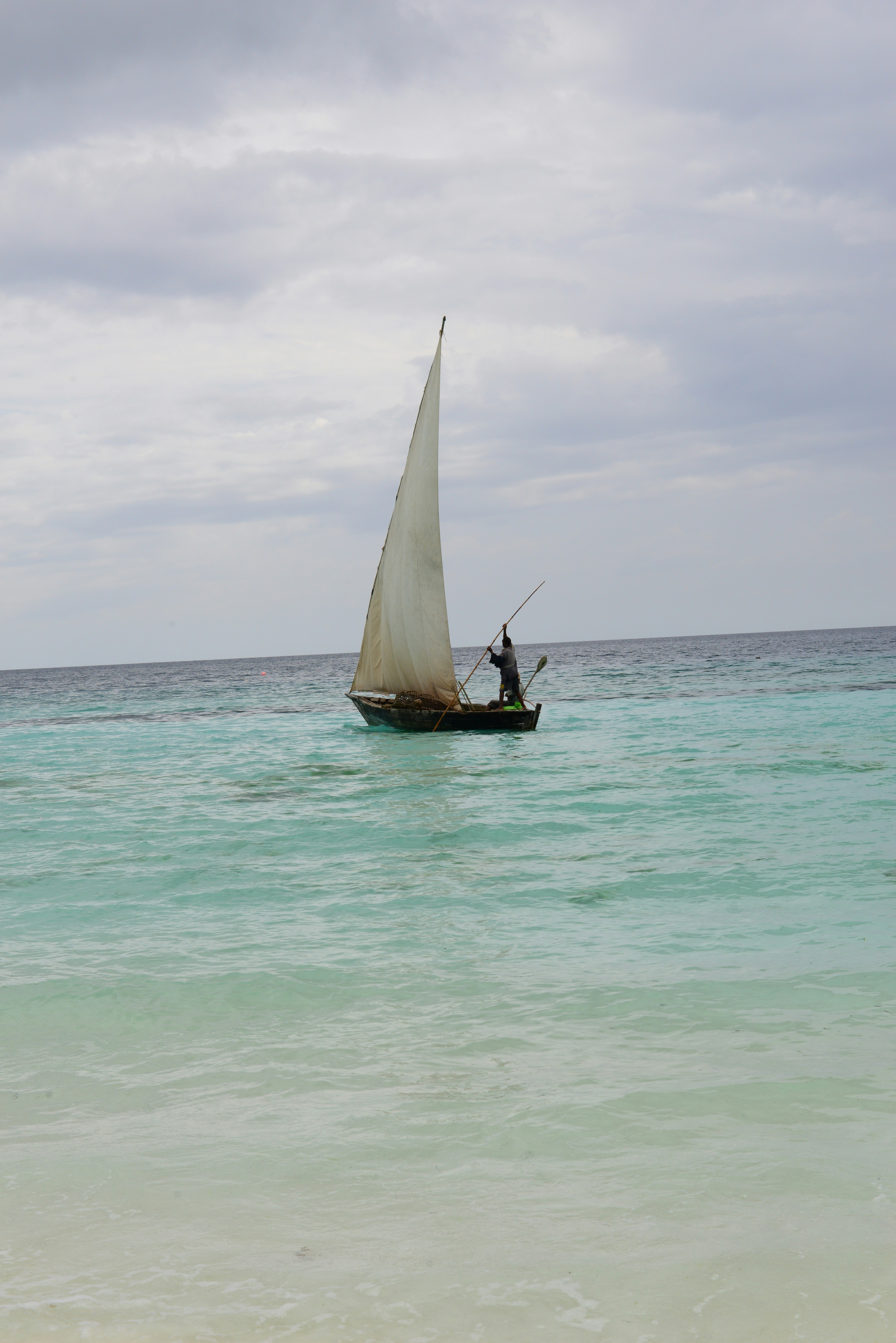 Braun-weißes Segelboot auf See tagsüber