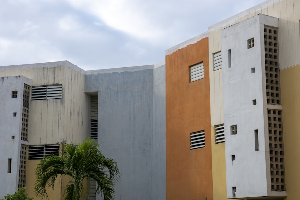 green palm tree beside beige concrete building