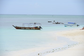 Several wooden boats are anchored near the shore in clear turquoise waters, with a sandy beach in the foreground. On the largest boat, the words 'East Africa Diving' are visible. A couple of people are sitting on the beach, enjoying the serene view of the ocean. The sky is clear with a slightly overcast hue.