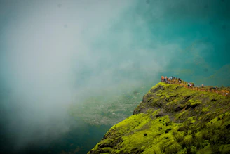 A group of smiling backpackers standing on a lush green hilltop with fog rolling in behind them, capturing the spirit of Meghalaya’s rainforest adventure.