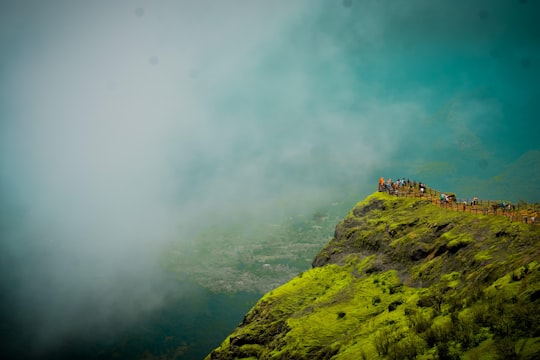green grass on mountain under white clouds during daytime in Raigad Fort India