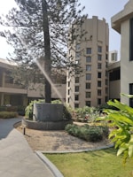 A courtyard with a tall tree at its center, surrounded by a circular stone planter. The area is landscaped with various plants, flowers, and green grass. A modern building with geometric windows encircles the garden, showcasing an architectural design with tall columns and angular lines. Sunlight streams through the branches, creating a serene atmosphere.