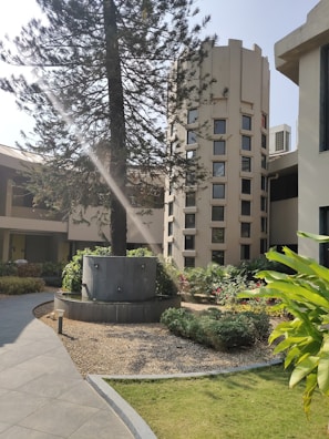 A courtyard with a tall tree at its center, surrounded by a circular stone planter. The area is landscaped with various plants, flowers, and green grass. A modern building with geometric windows encircles the garden, showcasing an architectural design with tall columns and angular lines. Sunlight streams through the branches, creating a serene atmosphere.