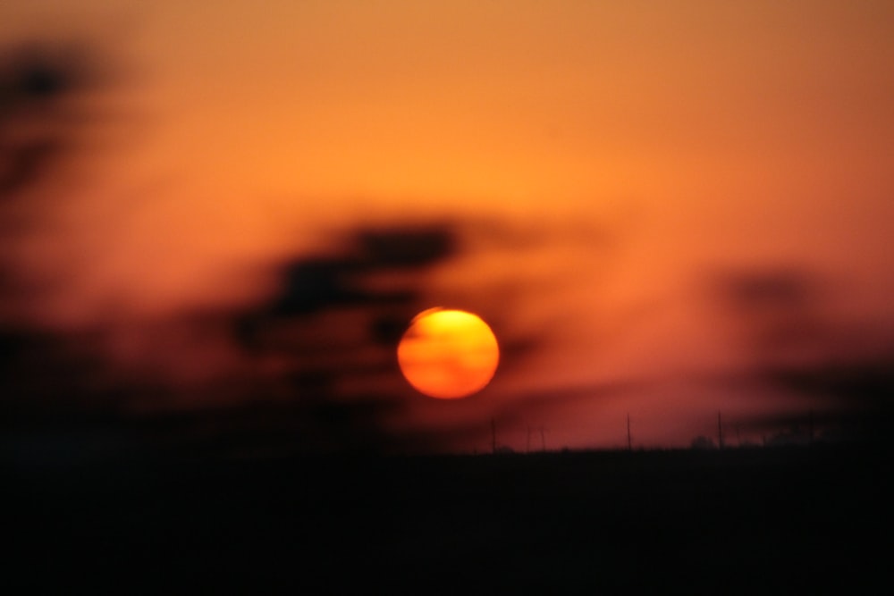 silhouette of trees during sunset