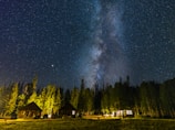 Night sky filled with stars above the cabins in the tranquil area.