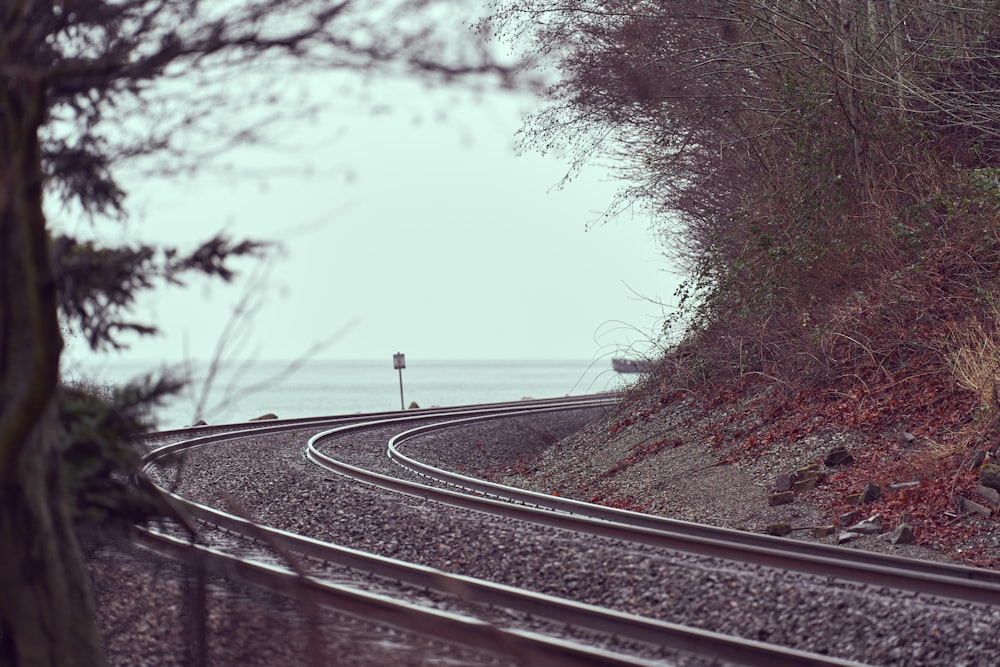 pessoa em pé na borda do trilho do trem durante o dia