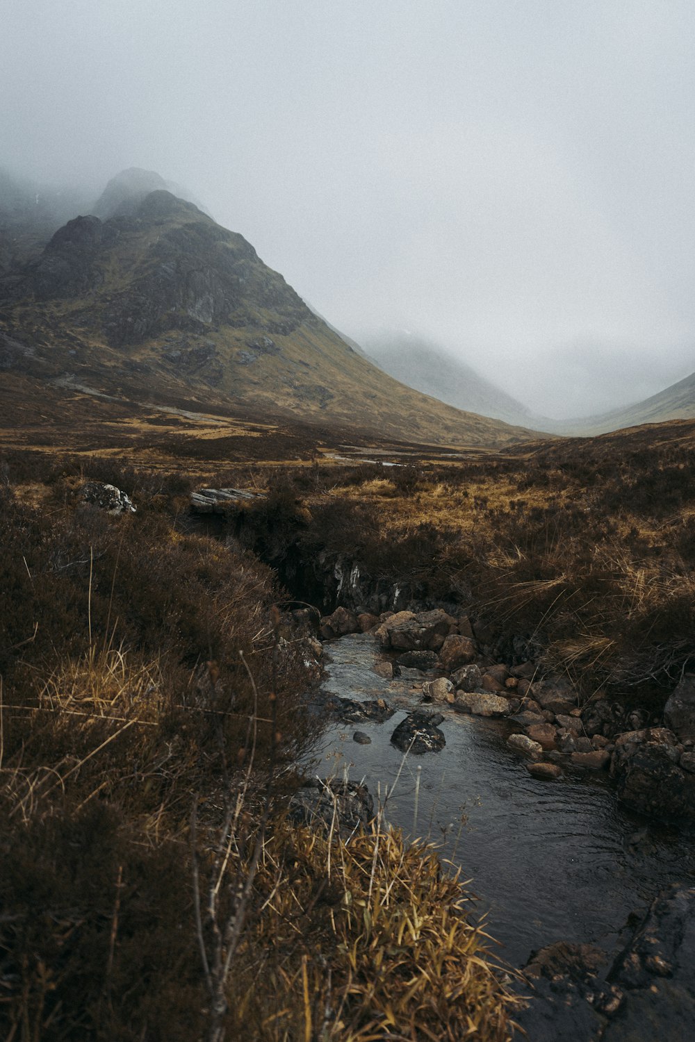 brown grass and rocks on river