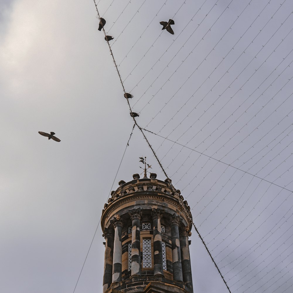 birds flying over brown concrete tower under blue sky during daytime