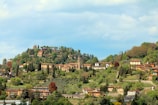 A scenic view of villas and farmhouses nestled in lush greenery.