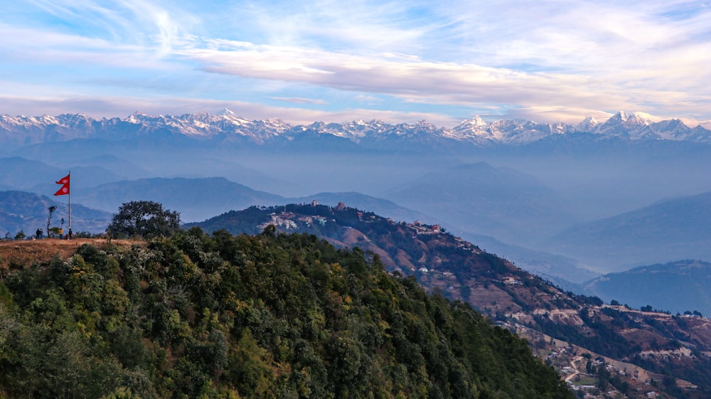 green trees on mountain under white clouds during daytime