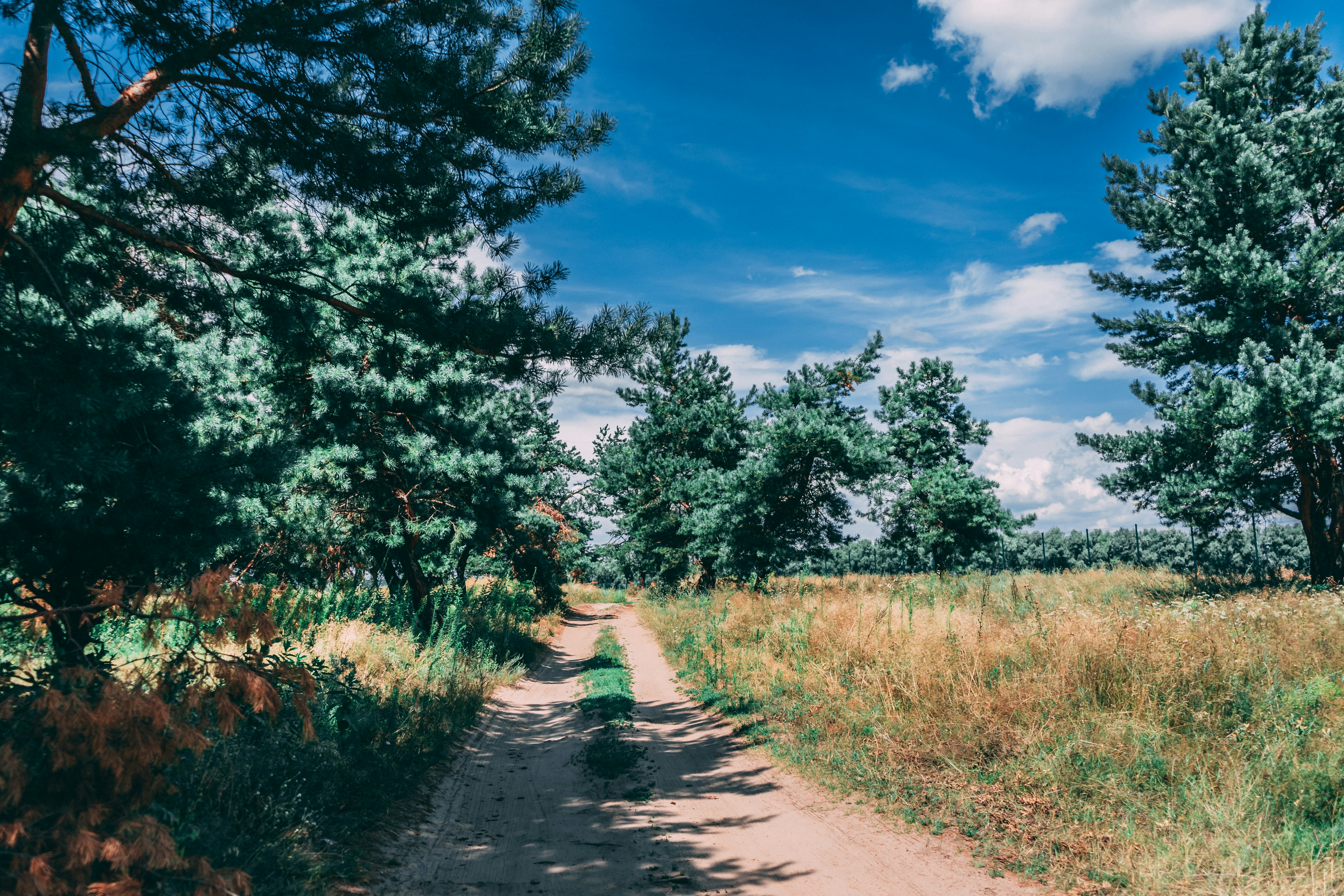 Photo by virussinside