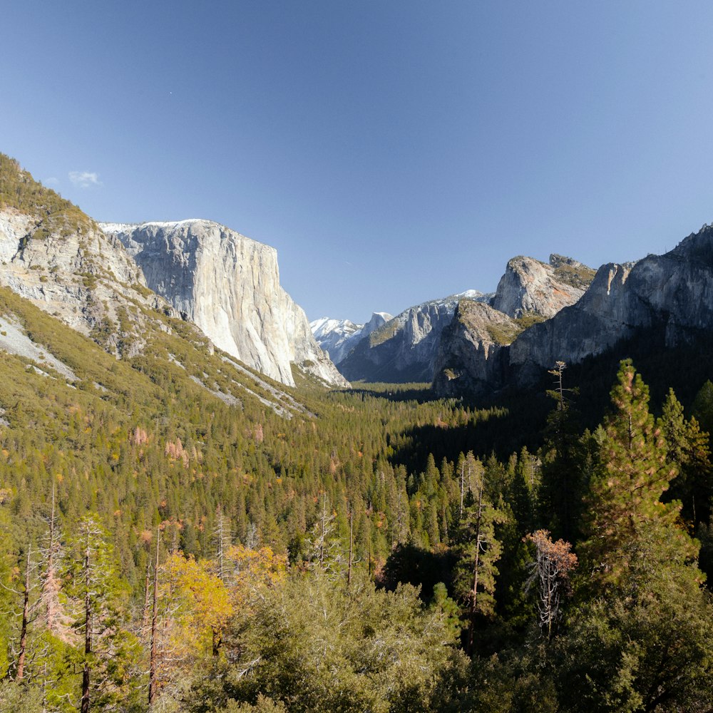 green trees near mountain under blue sky during daytime