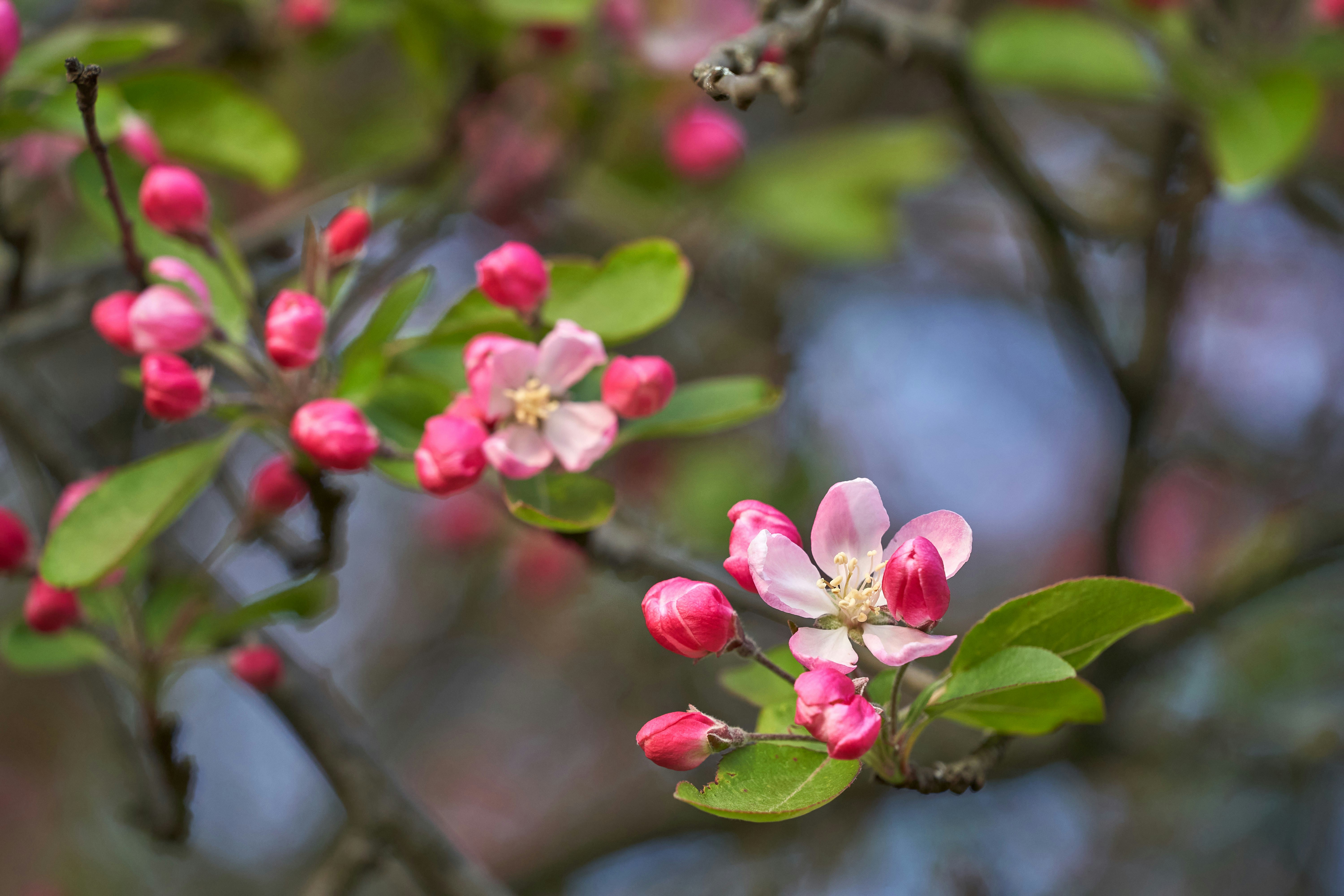 Photo by wolfgang_hasselmann