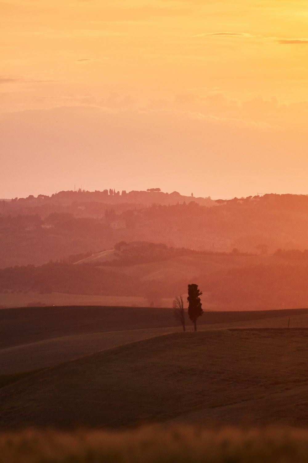 silhouette of person walking on field during sunset