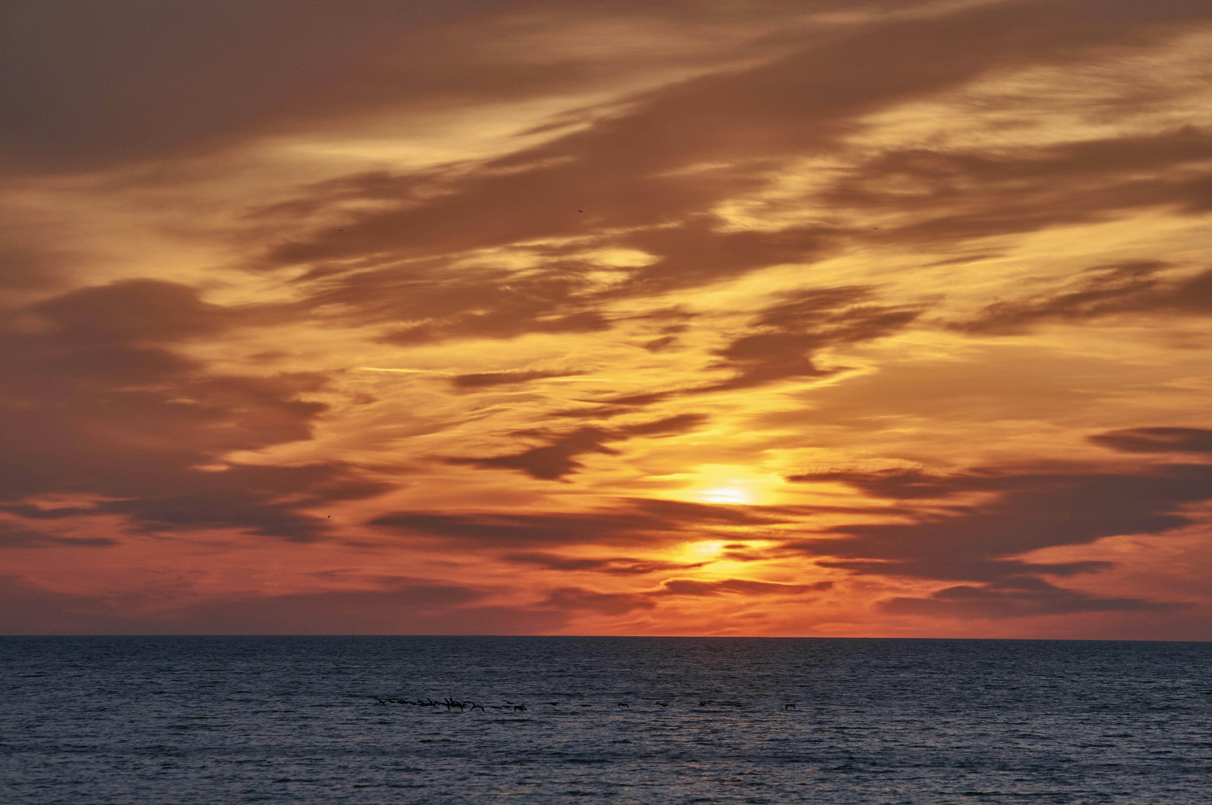 Photo by wolfgang_hasselmann