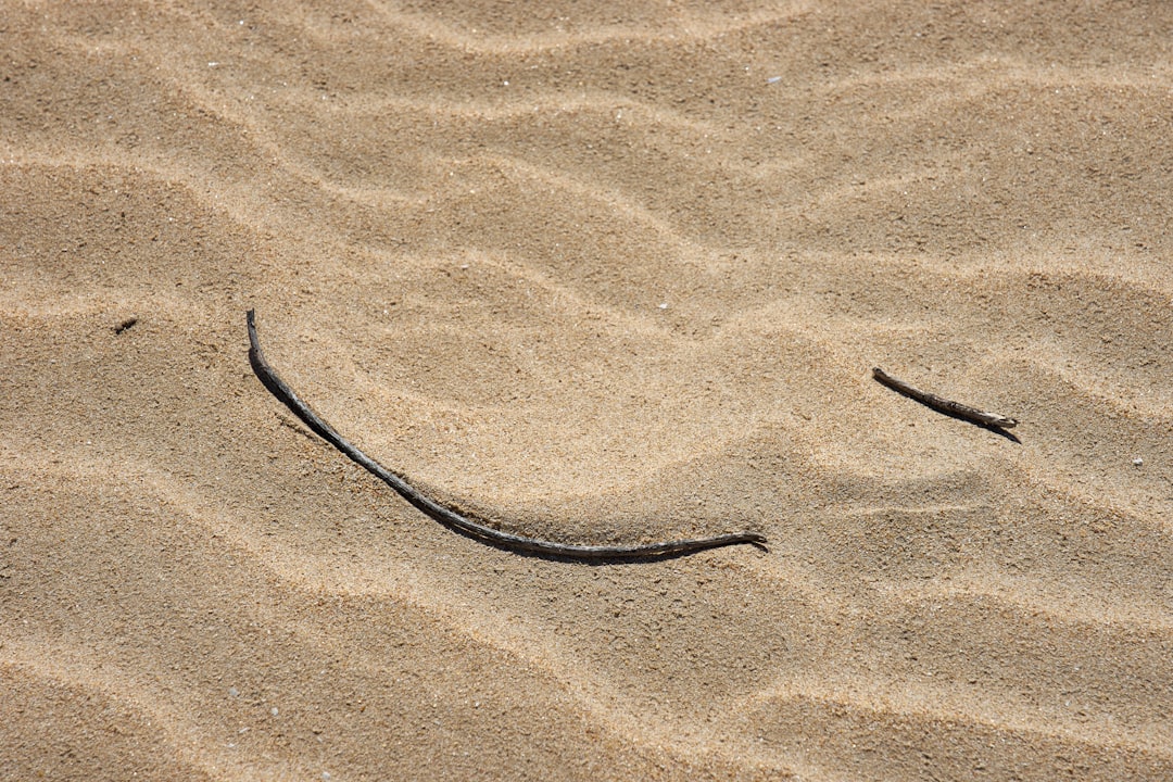 black leather belt on brown sand