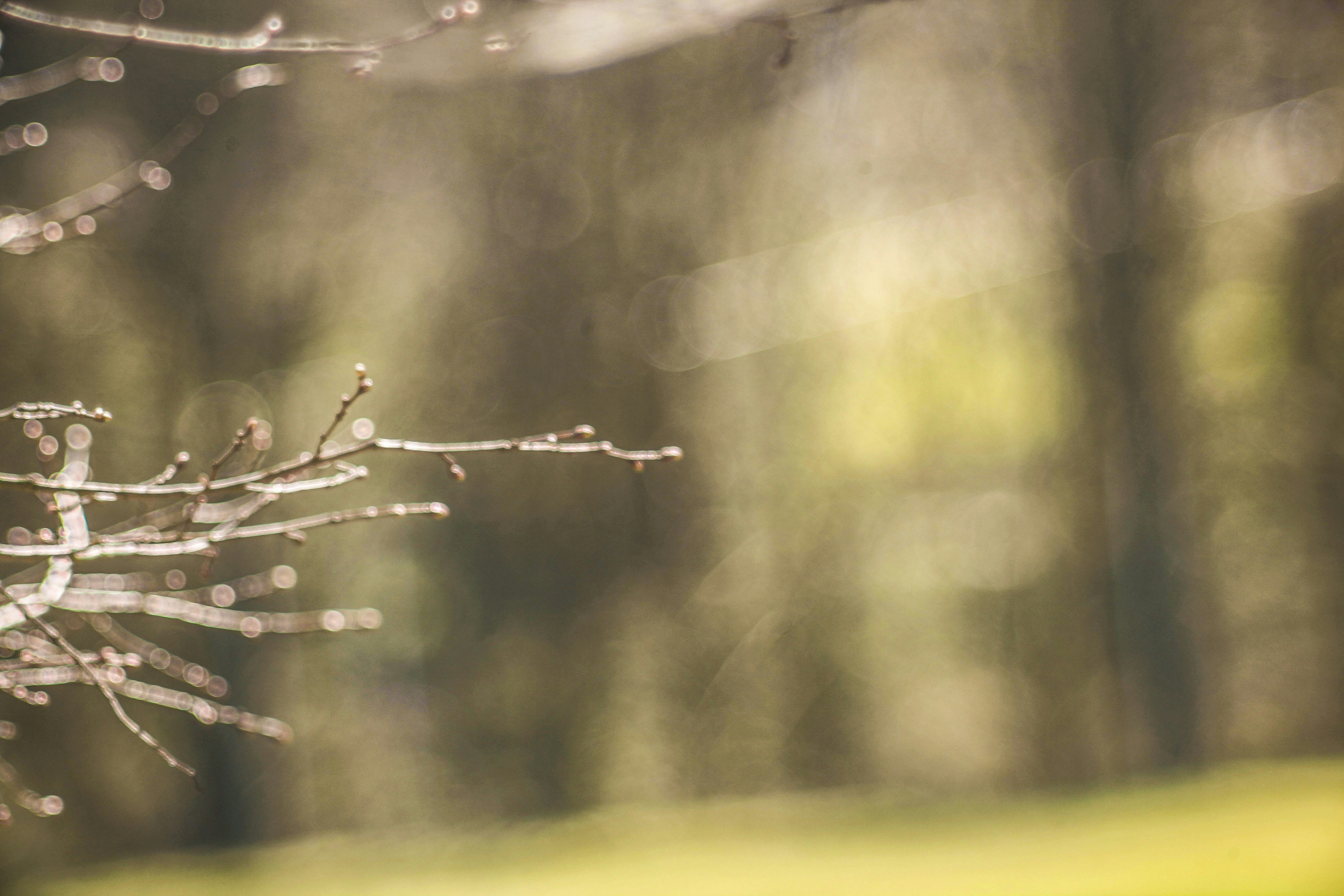 Photo by paulrottmann