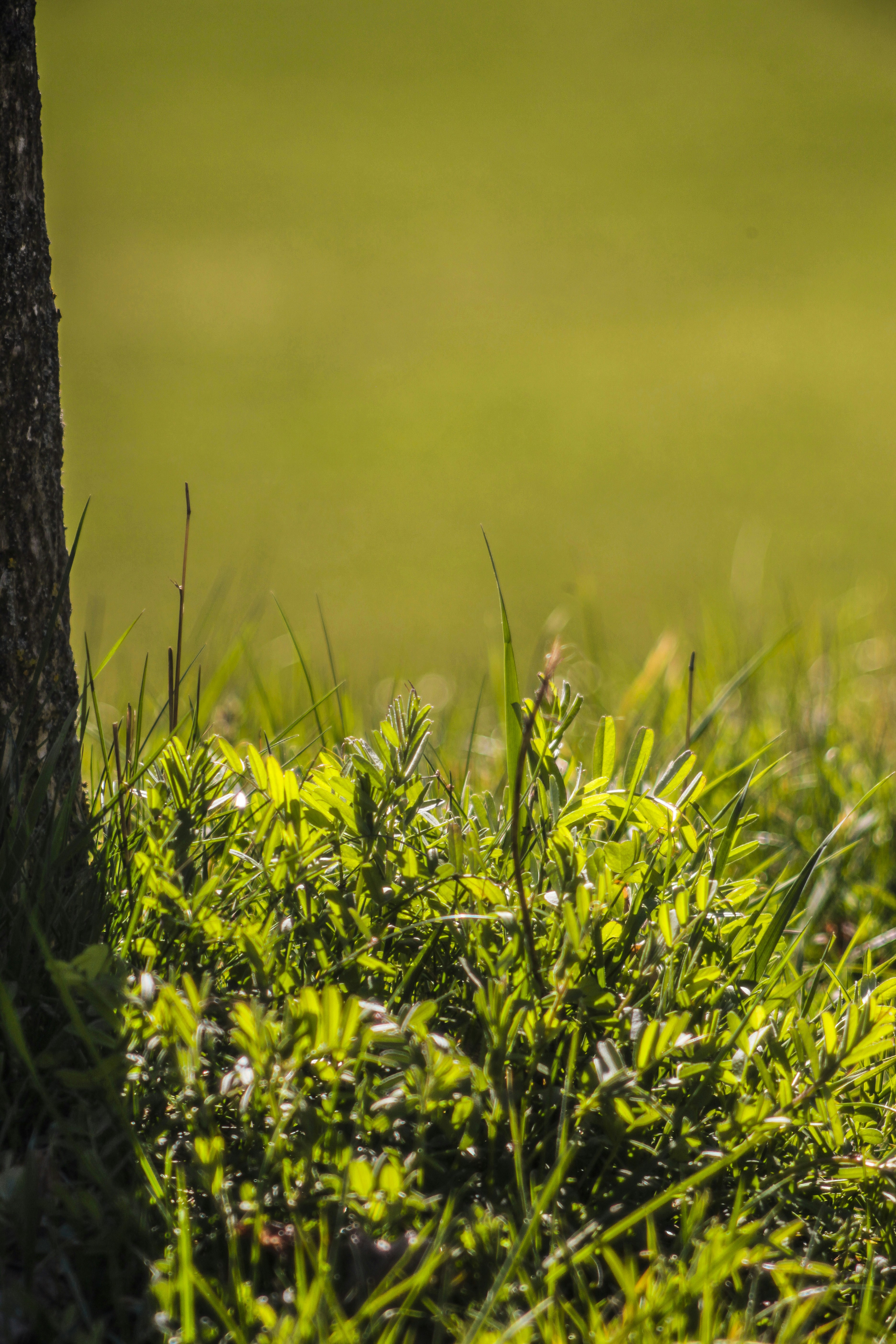 Photo by paulrottmann