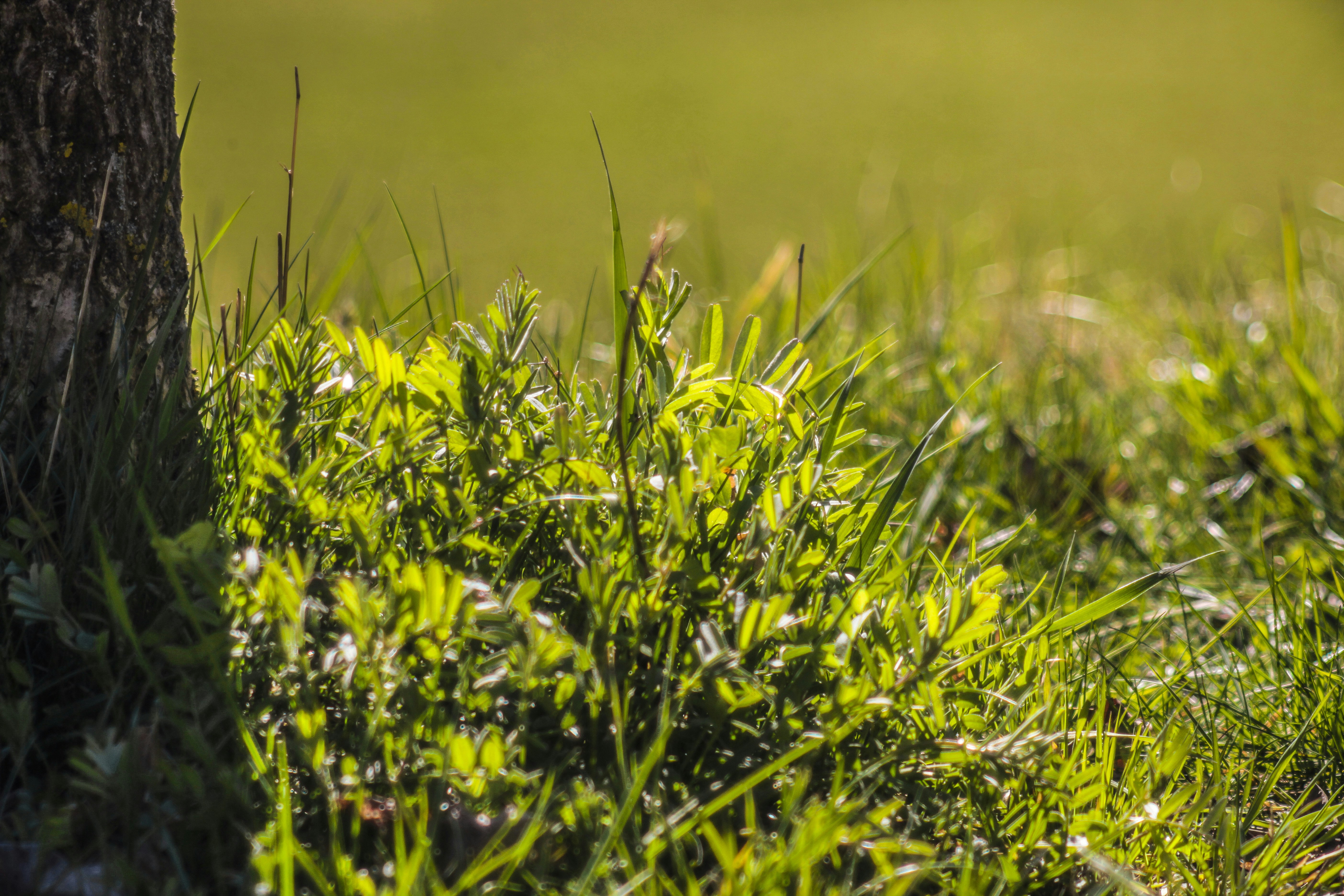 Photo by paulrottmann