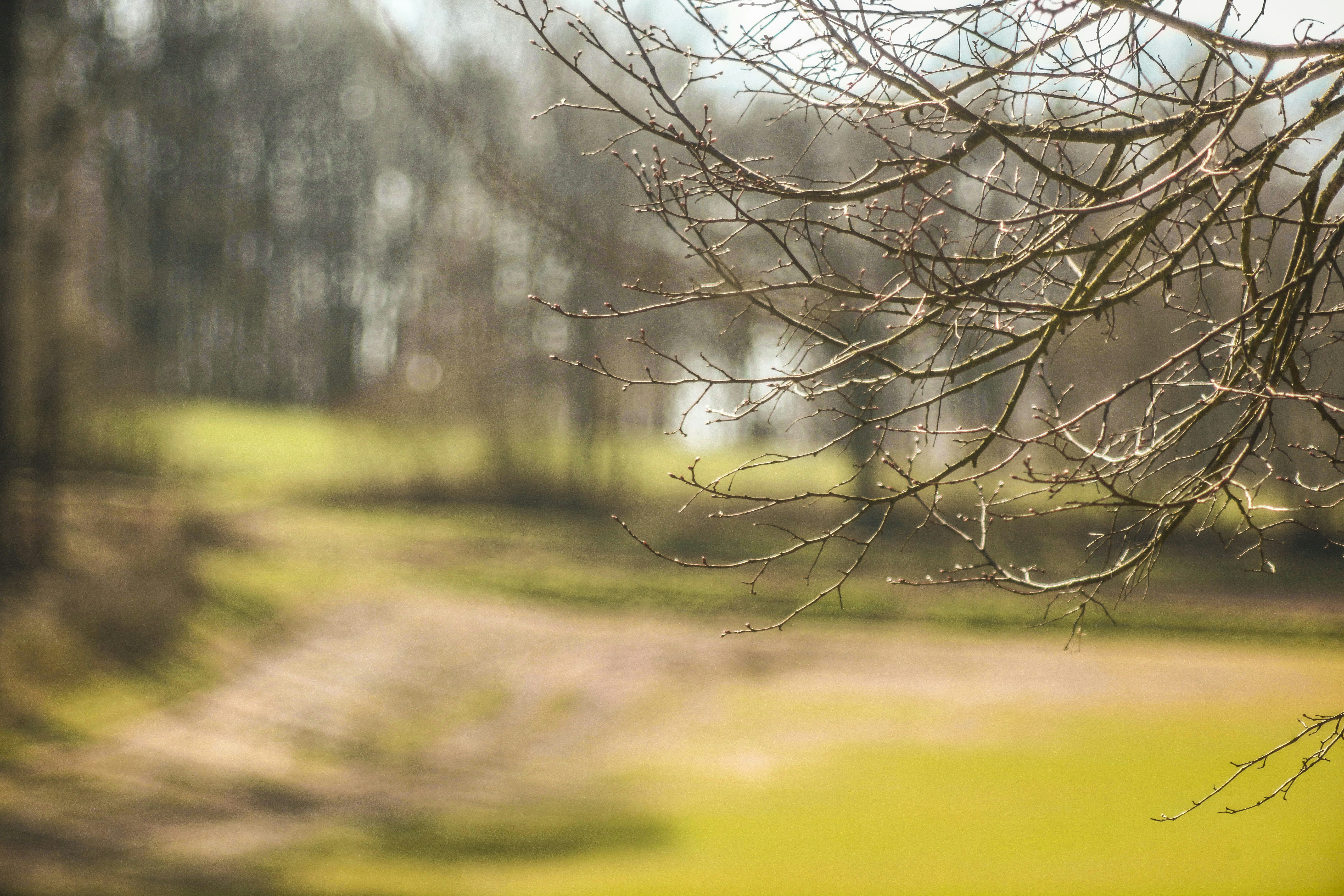 Photo by paulrottmann