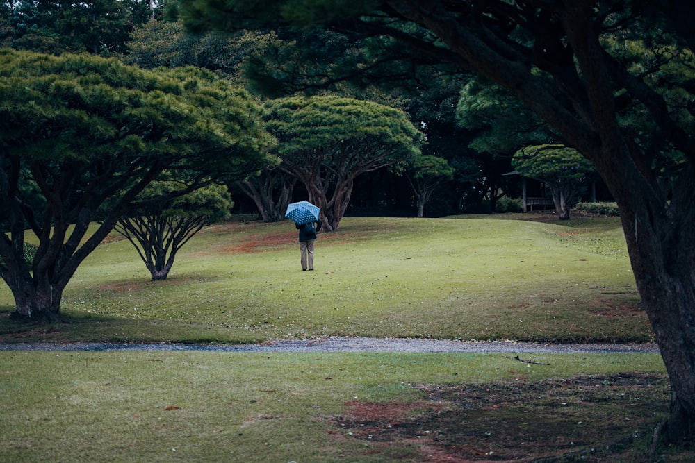 person in blue jacket walking on green grass field during daytime