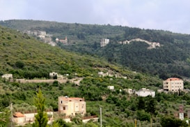 A lush, green landscape with several scattered buildings nestled on the hillside, surrounded by dense vegetation. The scene is dominated by green hills and a few residential structures with light-colored walls and red roofs. The sky above is overcast, adding a serene and tranquil atmosphere to the setting.