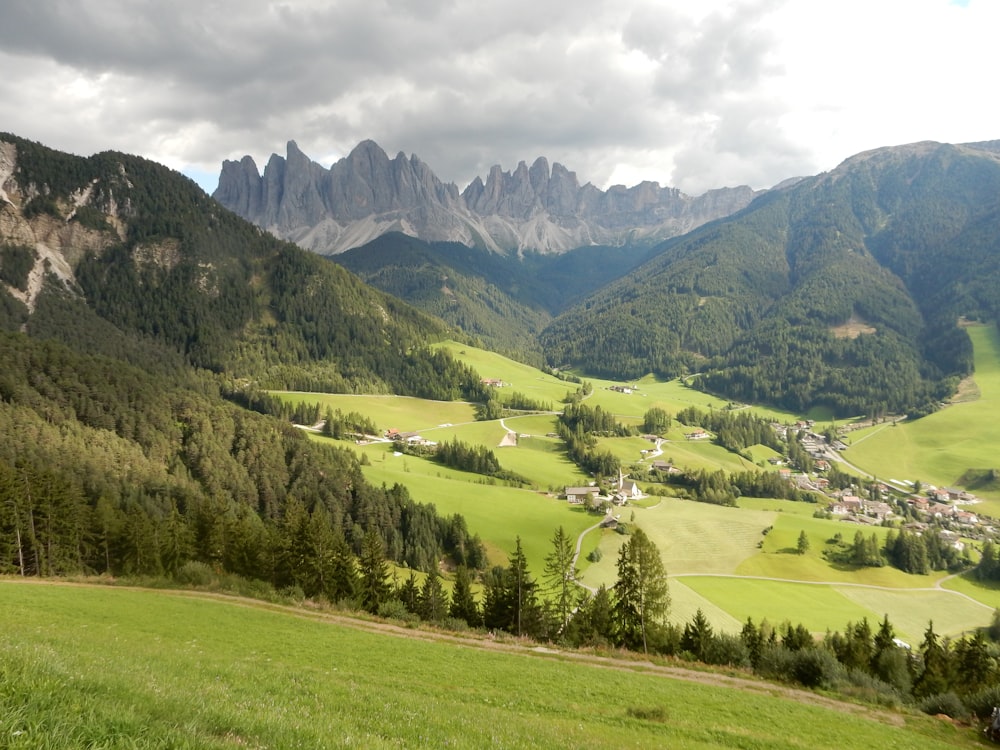 green grass field and trees covered mountains during daytime