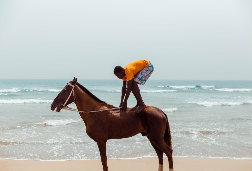 man in blue shirt riding brown horse on beach during daytime