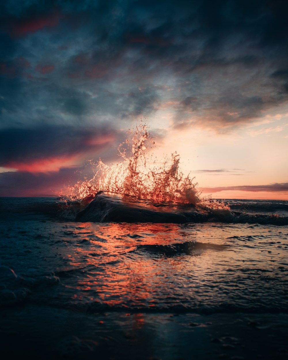 leafless tree on the shore during sunset