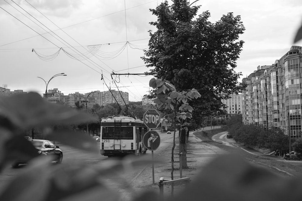Foto en escala de grises de un autobús en la carretera
