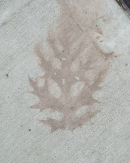 Detail of a stamped concrete floor showing intricate leaf patterns and texture.