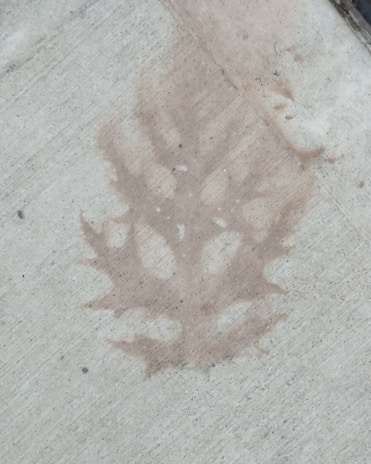 Detail of a stamped concrete floor showing intricate leaf patterns and texture.