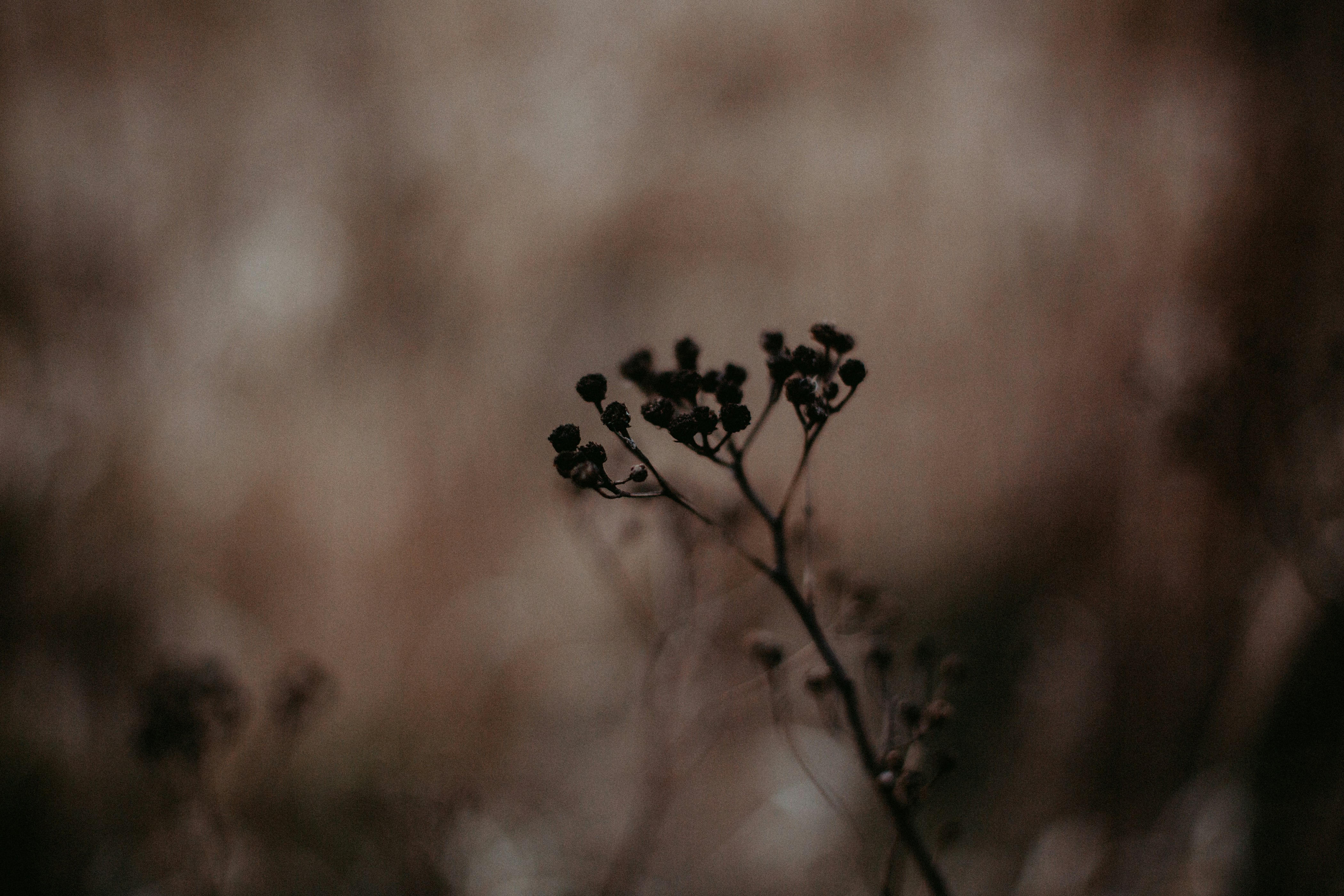 Photo by martafilipczyk