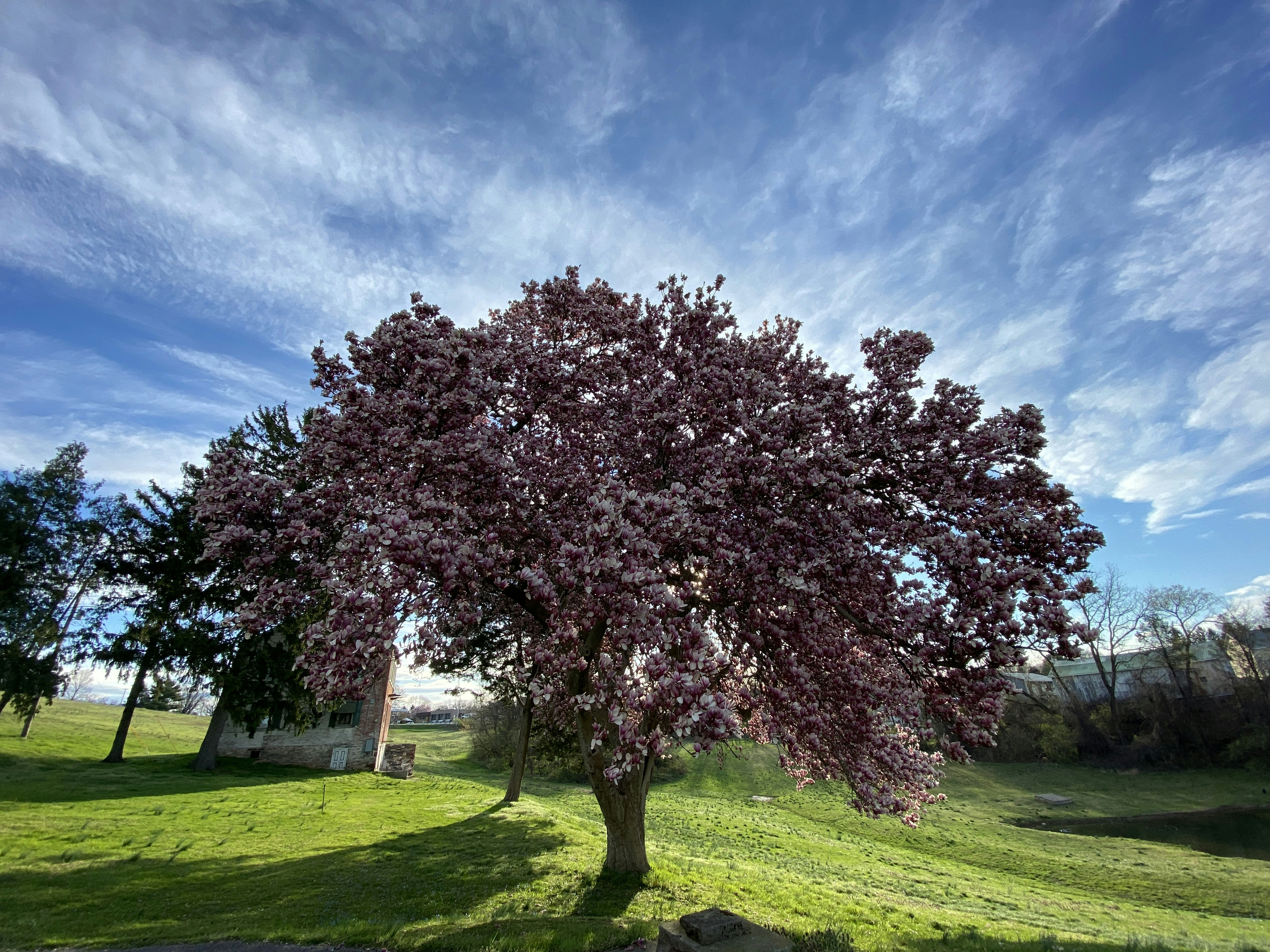 Photo by thomasagormley