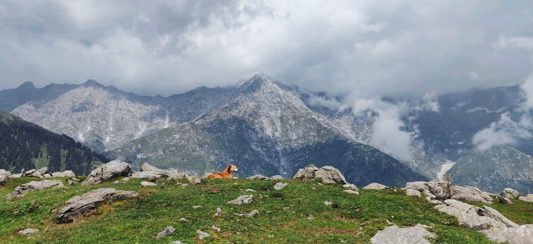 travelers stories about Hill station in Triund, India