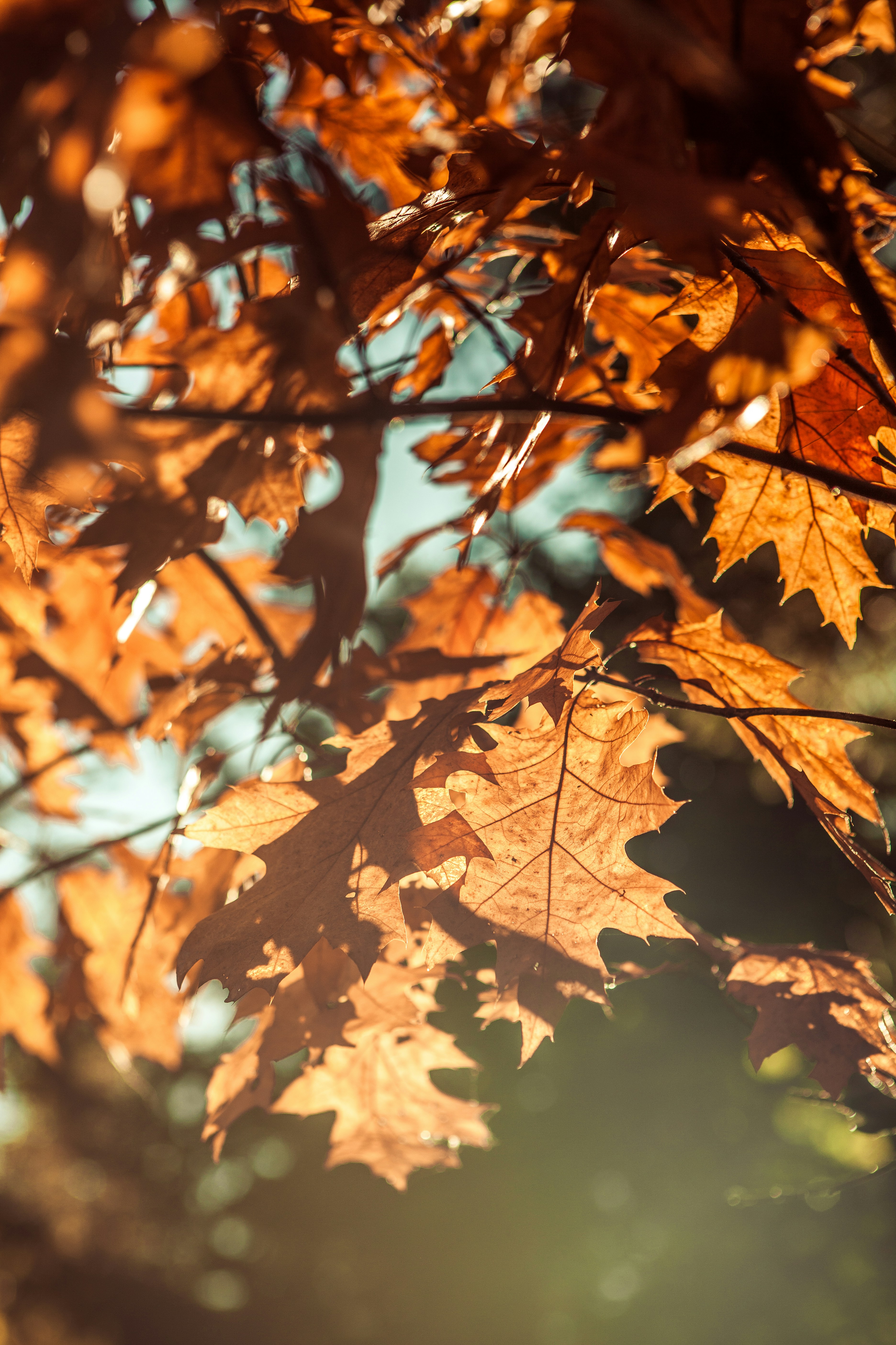 Photo by zuzanahersalkova